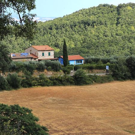 Casa Maria Villa Magliano in Toscana Exteriör bild