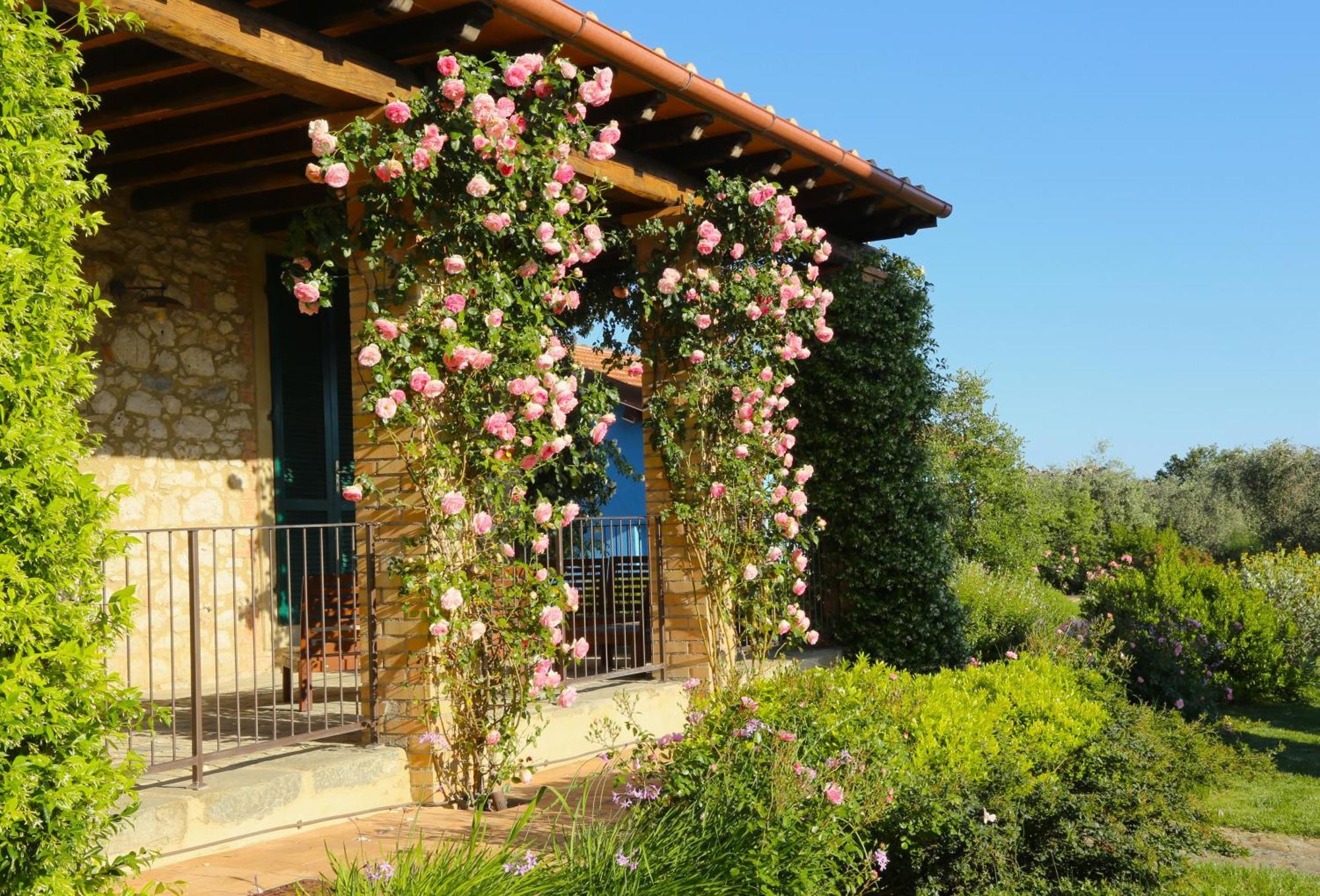 Casa Maria Villa Magliano in Toscana Exteriör bild